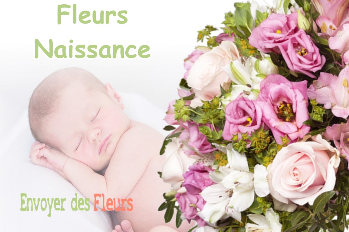 lIVRAISON FLEURS NAISSANCE à NEUVILLE-EN-VERDUNOIS